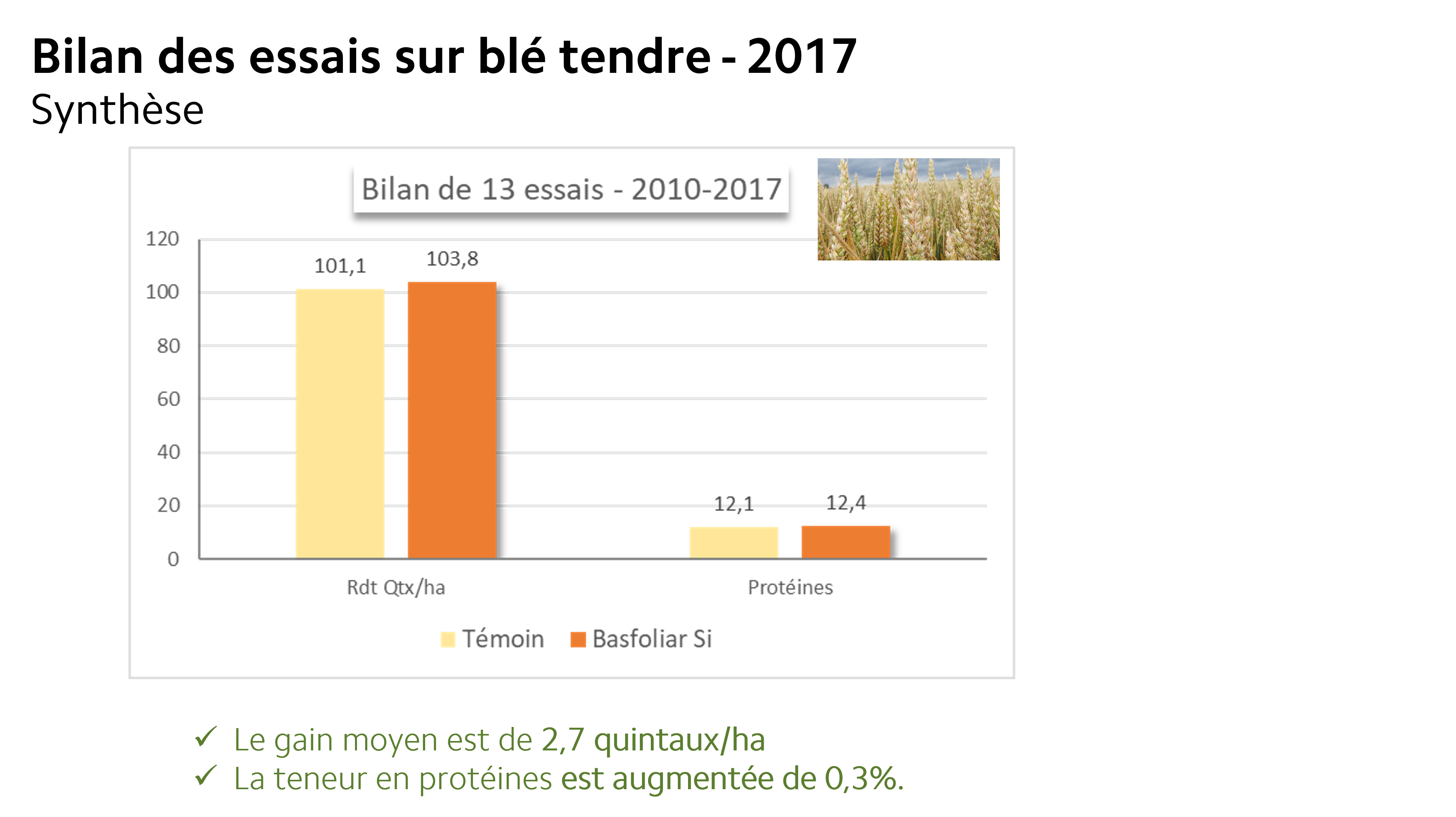 silice essai blé tendre augmentation rendement et taux protéines