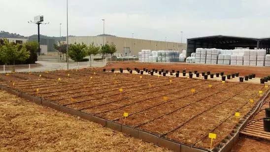 ¿Pueden convertirse los residuos de una planta de biogás en fertilizante?