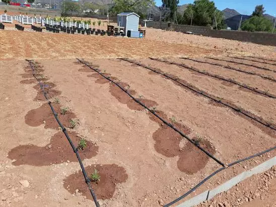 Nuestra joya experimental en Vall d’Uixó