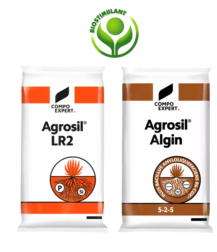 semis gazon automne biostimulants agrosil Algin et Agrosil LR2