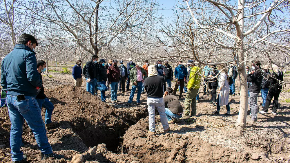 dia-de-campo-calicata