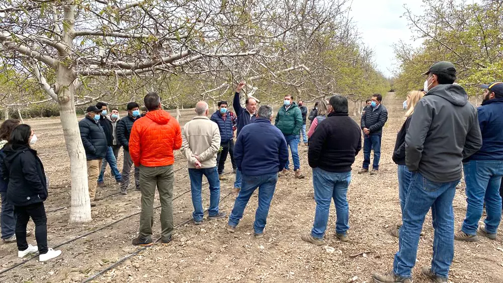 Durante el terreno de la V Región