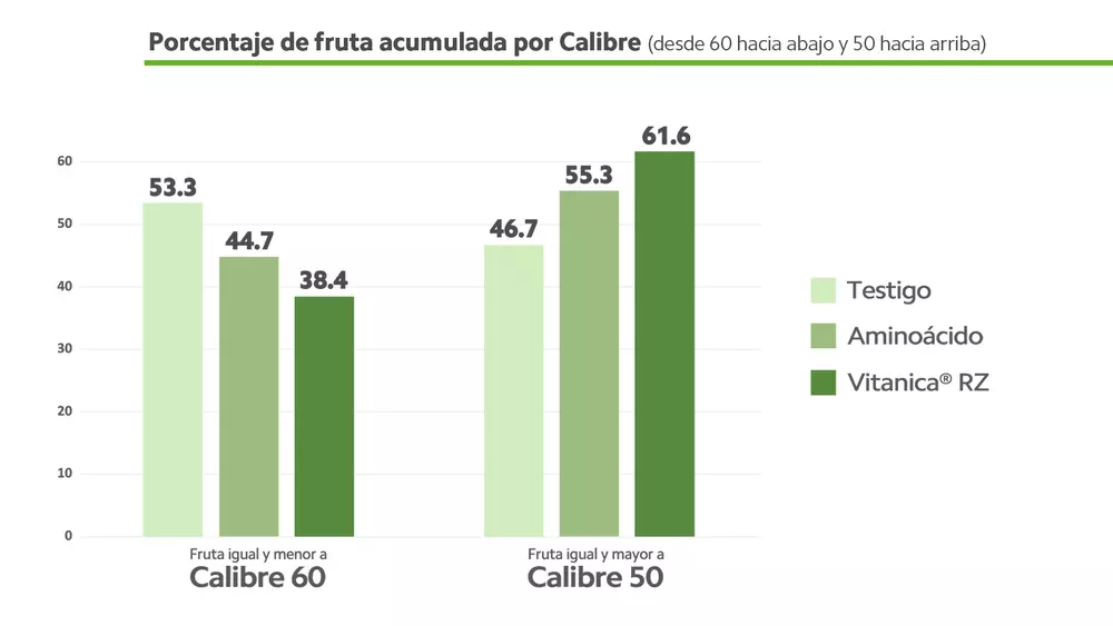 grafico-2-ensayo-vitanica-rz