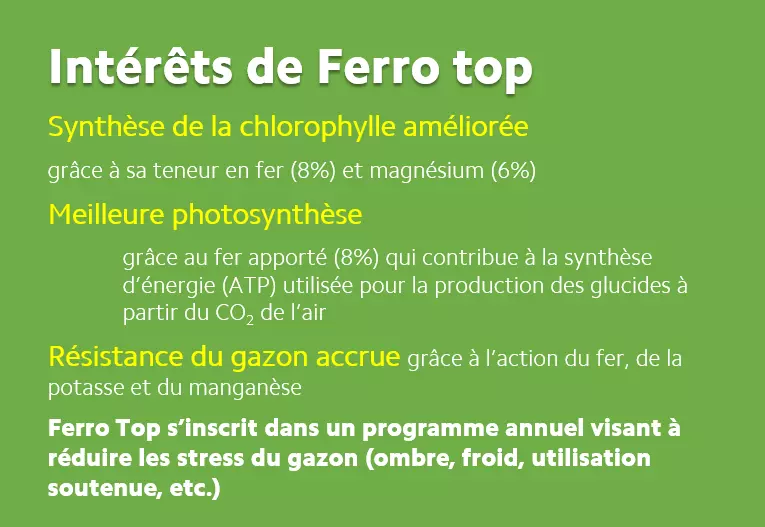 Ferro Top engrais granulé de reverdissement enrichi en fer