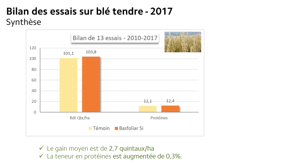 silice essai blé tendre augmentation rendement et taux protéines
