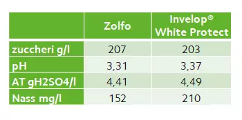 Invelop® White Protect come strumento per ridurre l’apporto di zolfo nei vigneti ed evitare che gli eventuali residui possano portare alla formazione di elevati livelli di composti solforati nei vini finiti.