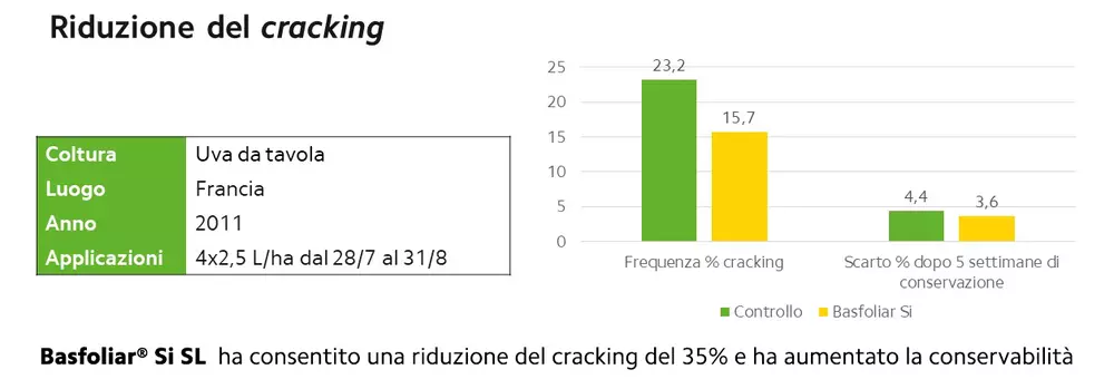 prova basfoliar si cracking