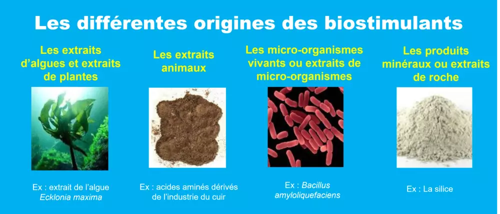 biostimulants et leurs origines