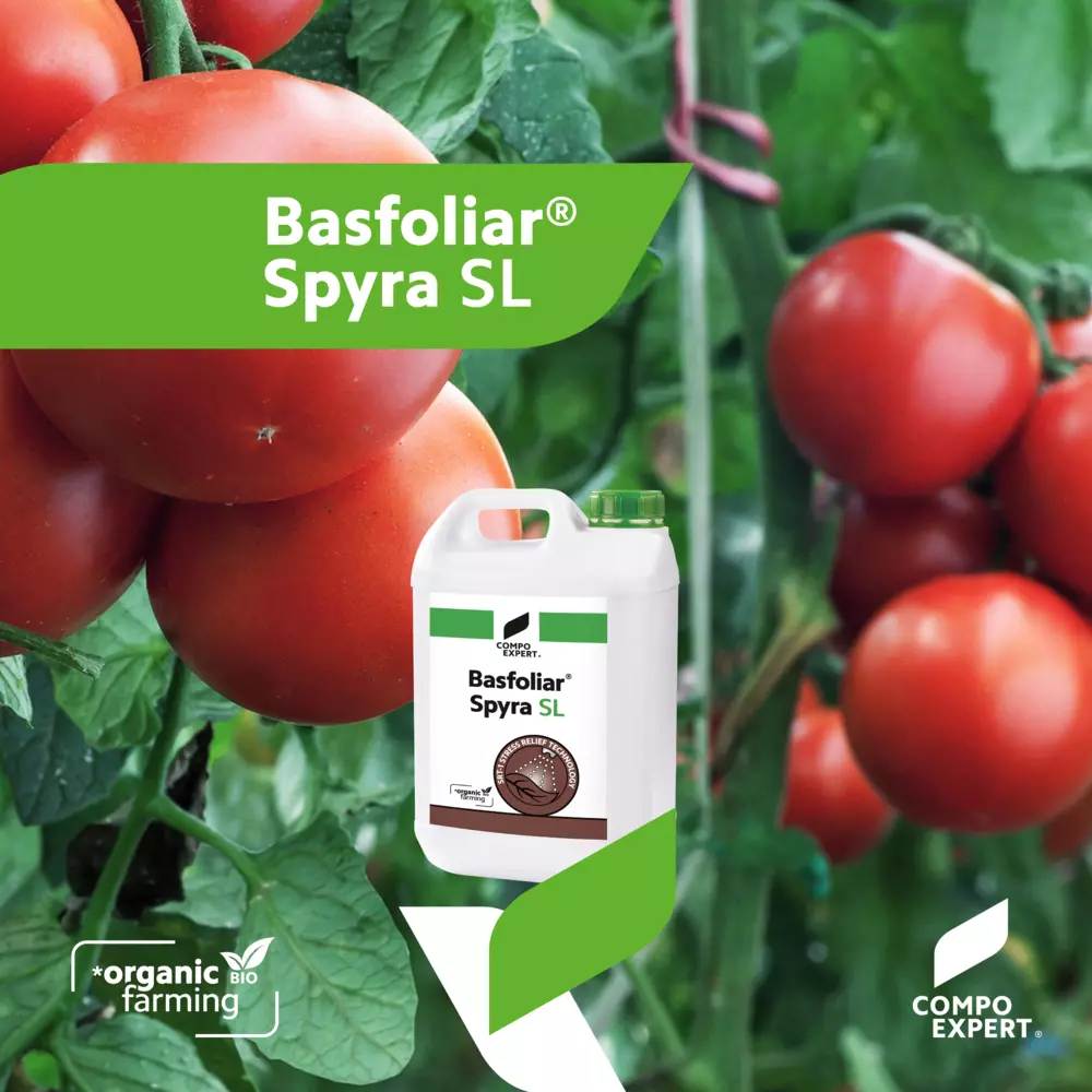 Basfoliar spyra Sl