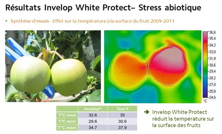 Invelop stress abiotique coup de soleil