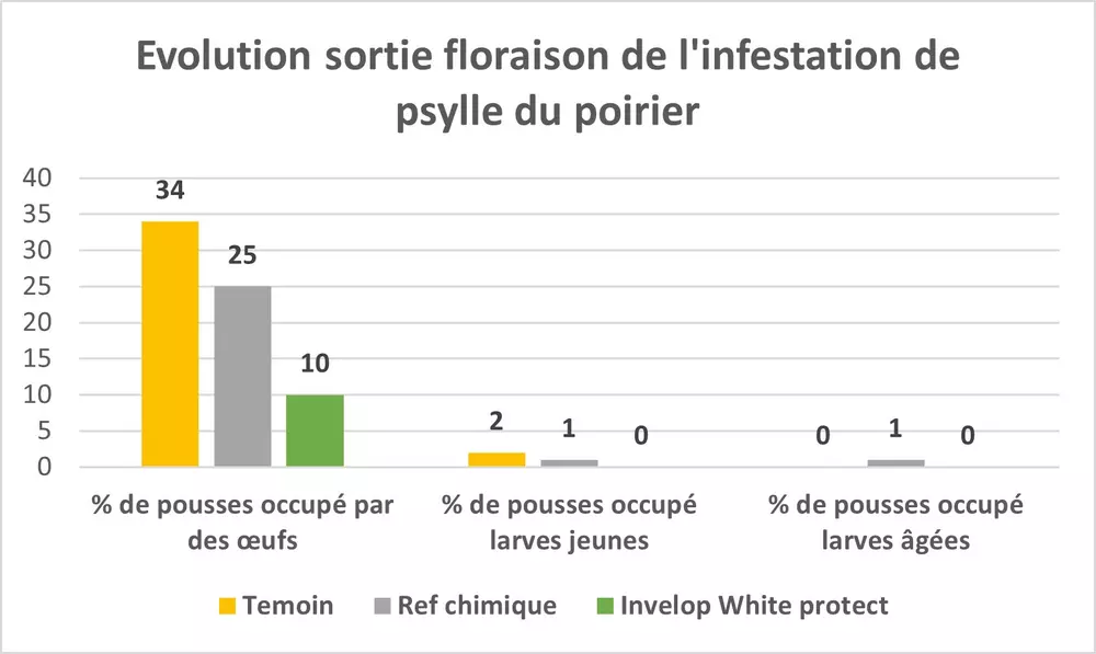 Invelop effet insectifuge sur psylle du poirier