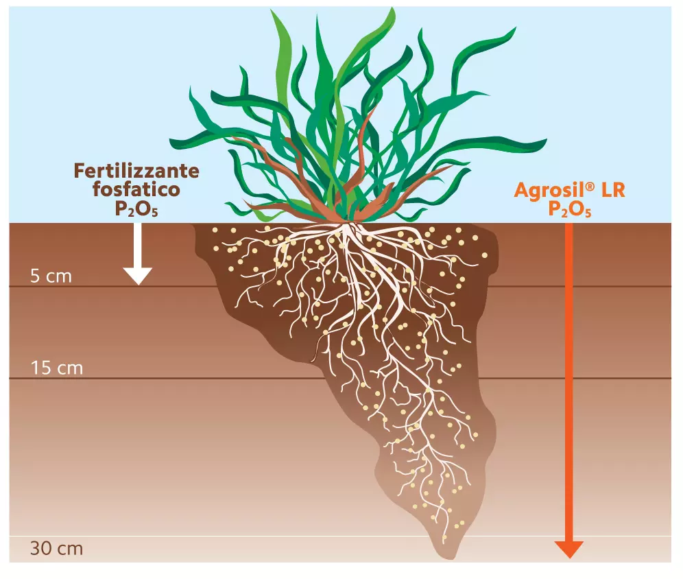 azione agrosil