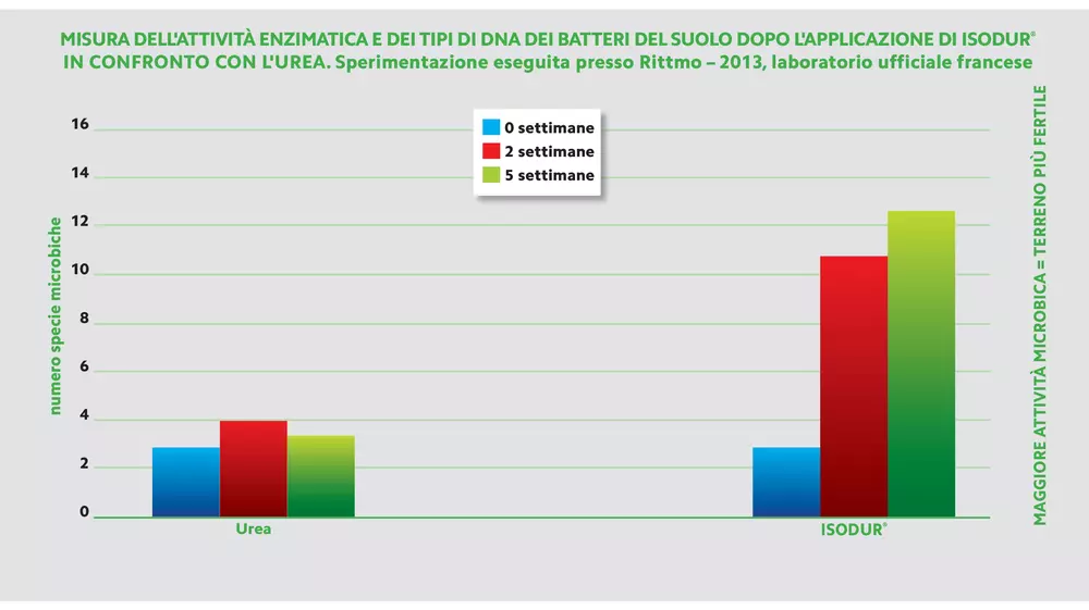 attività enzimatica gold