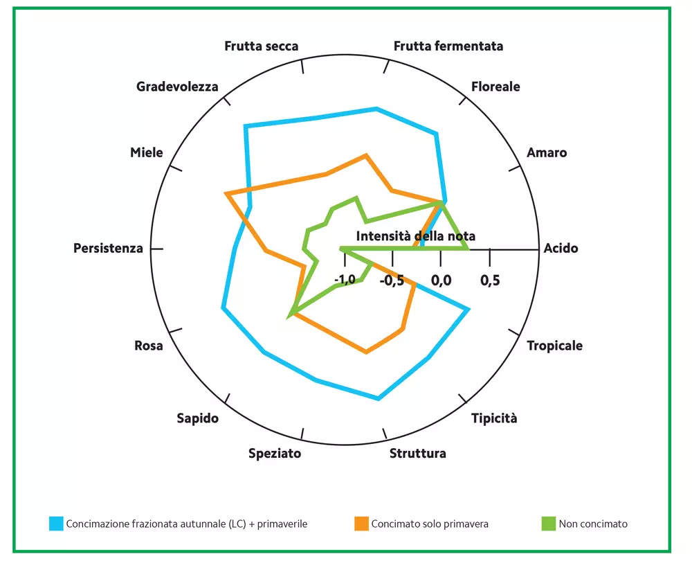 grafico qualità vino