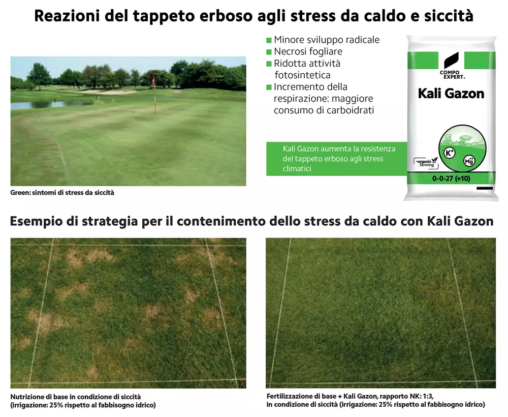 stress da caldo - kali gazon