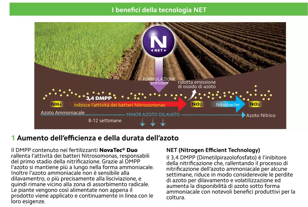 tecnologia NET