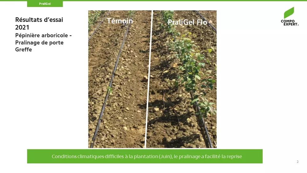 PraliGel Flo pralinage biostimulant pour maximiser la reprise plantations racines nues