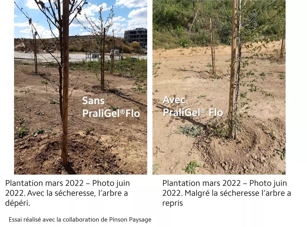 PraliGel Flo pralinage biostimulant pour maximiser la reprise plantations racines nues