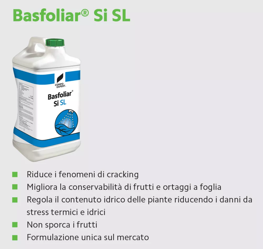 basfoliar si italia