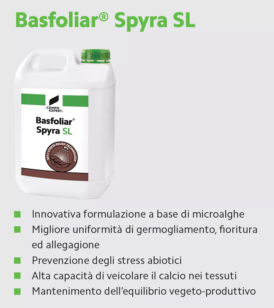 basfoliar spyra italia