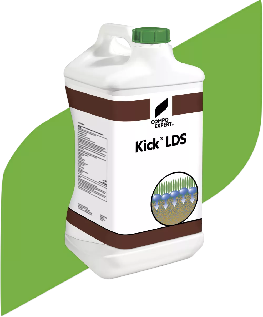 Kick LDS signet