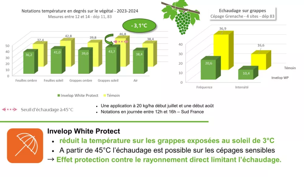 Invelop, abaisse la température à la surface des fruits et vigne