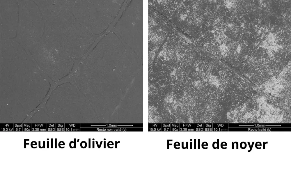 Invelop, une barrière physique pour la vigne et l'arbo