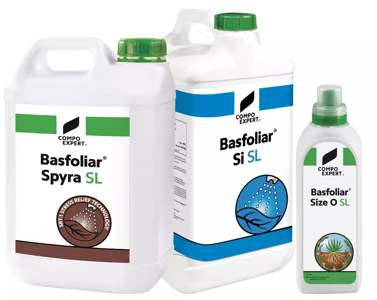 biostimolanti prova nocciolo 2024