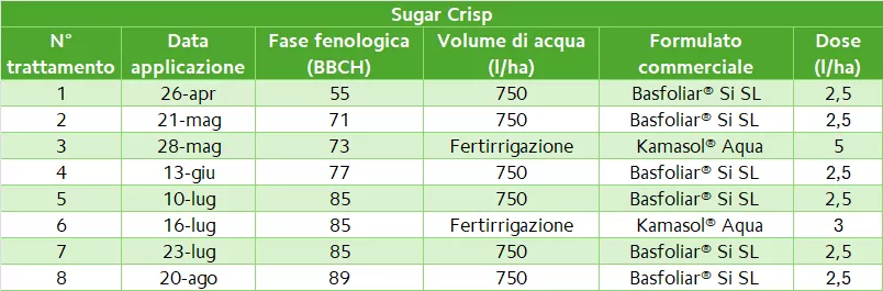 tab 3 table grape