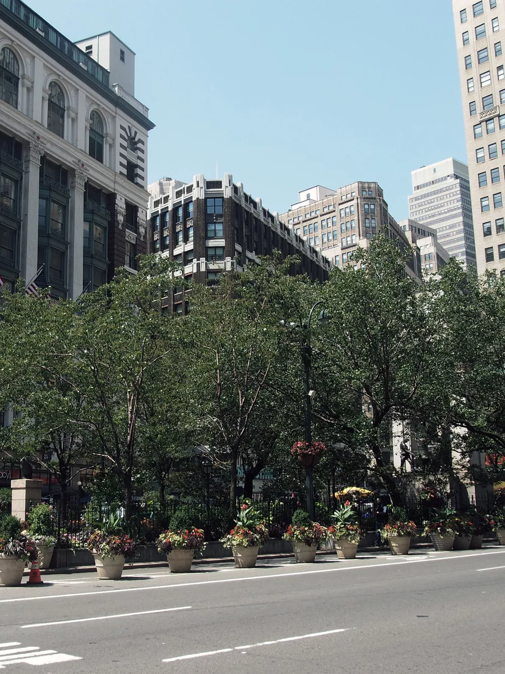 turf-public green-city trees-v