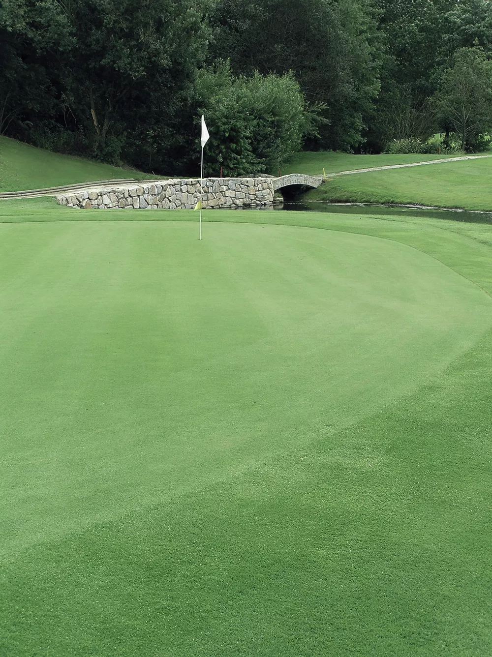 turf-public green_golf turf-v