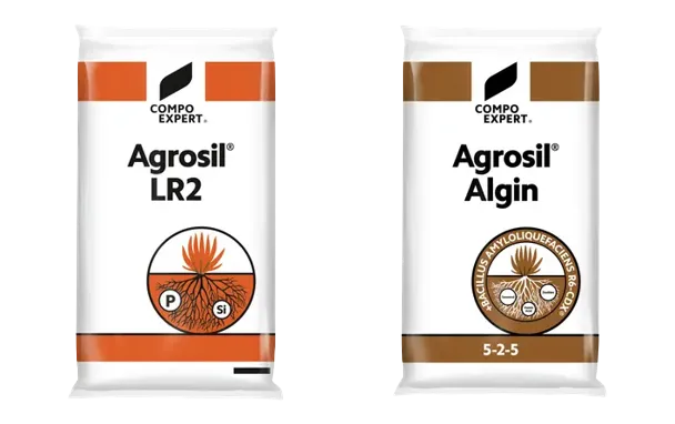 Agrosil LR2 et Algin : Deux produits permettant d’améliorer la structure physique et chimique du sol