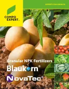 Cover Folder Blaukorn / NovaTec