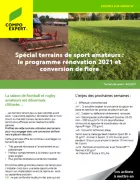 terrain de sport amateur programme de rénovation et conversion flore pâturin des prés