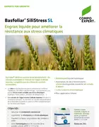 Basfoliar SiliStress biostimulant avec silice et algue ecklonia maxima pour résistance aux stress climatiques