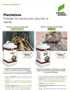 plantations arbres en ville pralinage avec biostimulants Vitanica PraliGel Flo