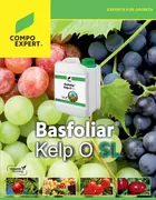 Basfoliar Kelp O SL
