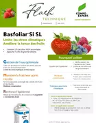 Basfoliar Si fraisiers limite stress climatiques