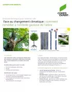 arbre en ville_itinéraire_embollie de l'arbre
