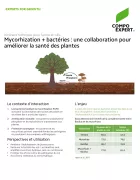 mycorhize et bactéries pour améliorer santé des arbres en ville