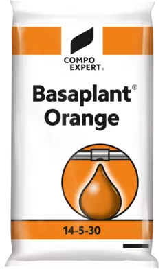 3D Basaplant Orange