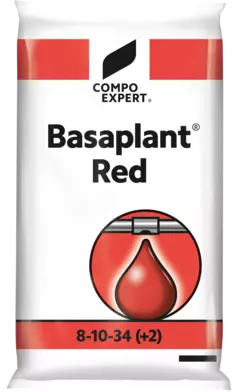 3D Basaplant Red