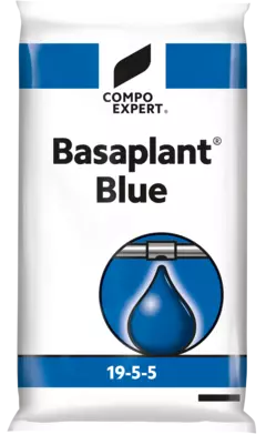 3D Basaplant Blue