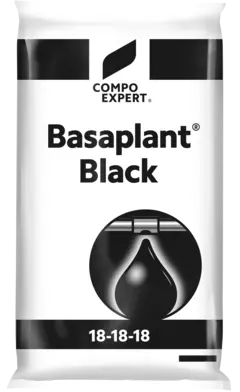3D Basaplant Black