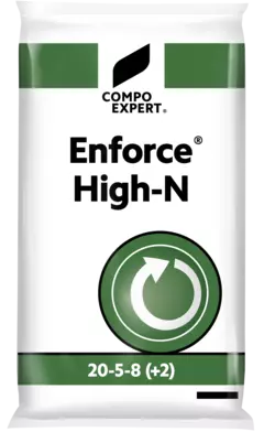 3D Enforce High-N