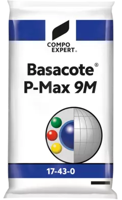 3D-Image BAsacote P-Max 9M