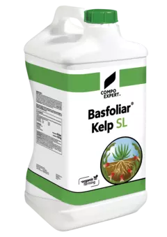 3D Basfoliar Kelp SL