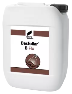 3D Basfoliar B Flo 10l