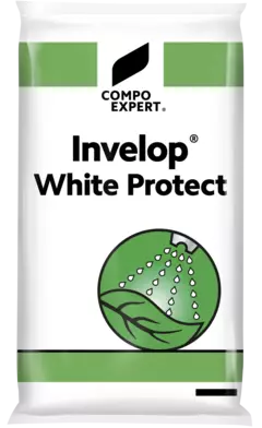 Invelop White Protect