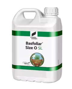 Basfoliar Size O